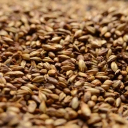 howdybrewer12022792