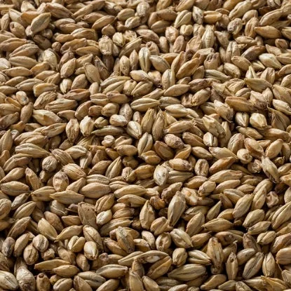 howdybrewer12022880