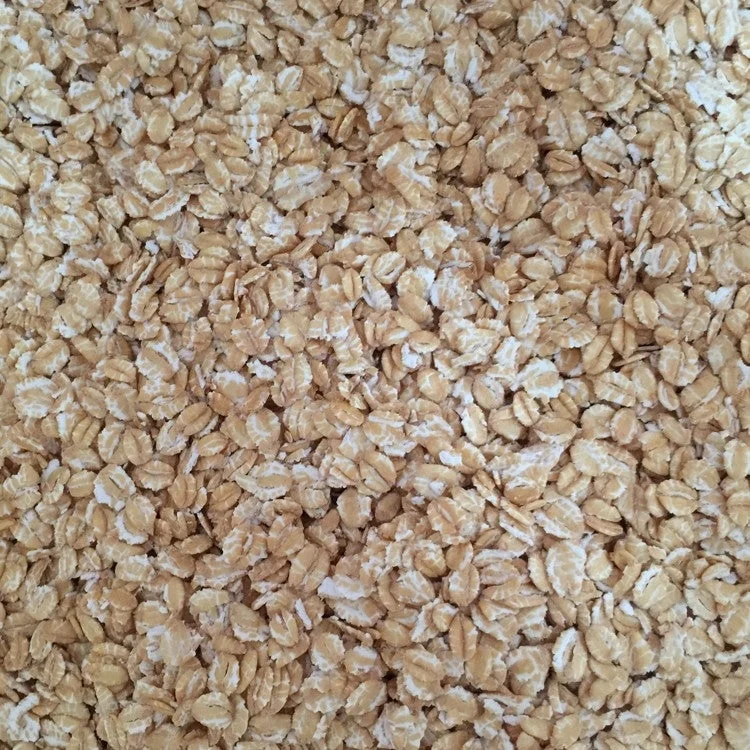 howdybrewer12025865