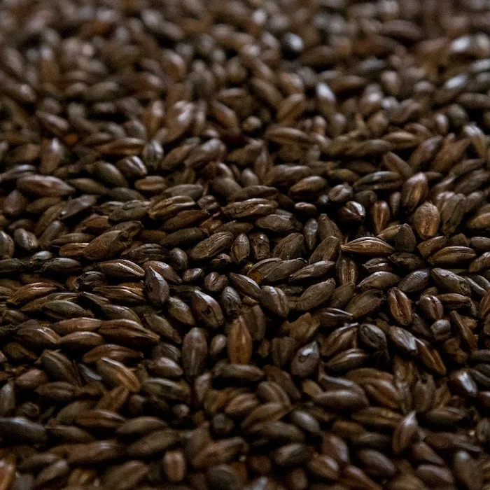 howdybrewer12026014
