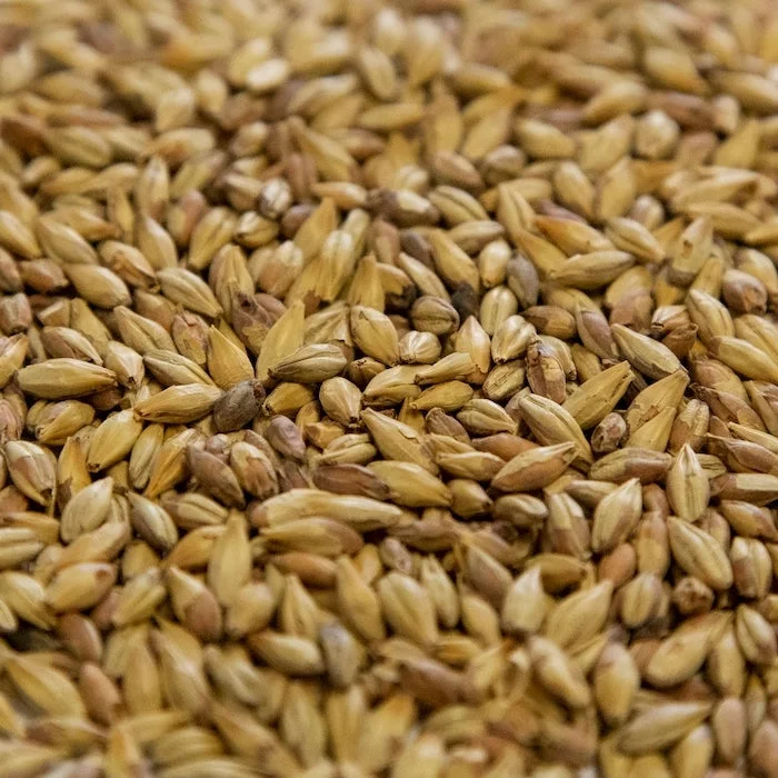 howdybrewer12026057