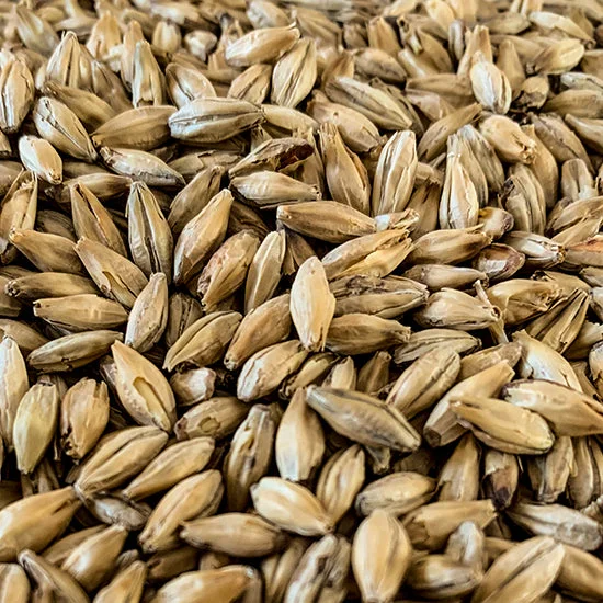 howdybrewer12028618