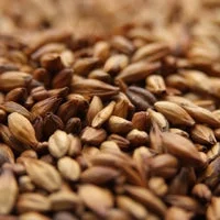 howdybrewer12029105