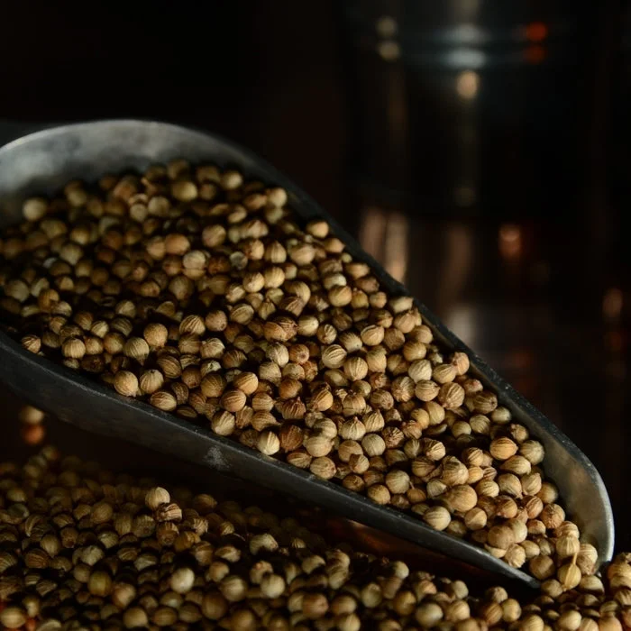 howdybrewer12053454