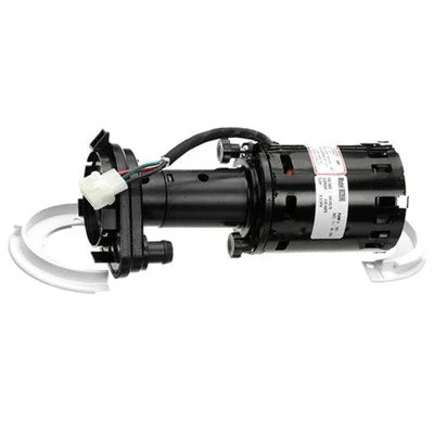 howdybrewer42379848